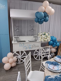 Over The Moon Baby Shower